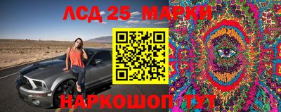 apvp Тулун