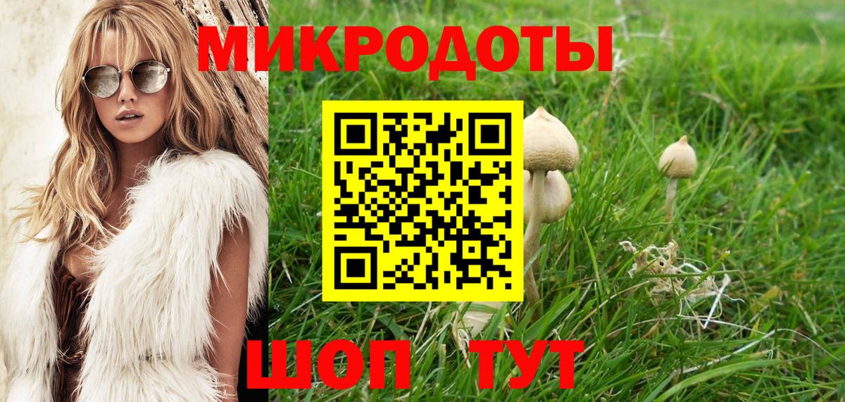 Галлюциногенные грибы GOLDEN TEACHER Курчалой