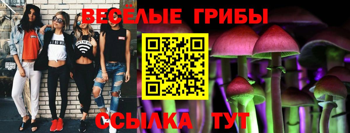 Курчалой  Галлюциногенные грибы прущие грибы  что такое наркотик  Вход с VPN 